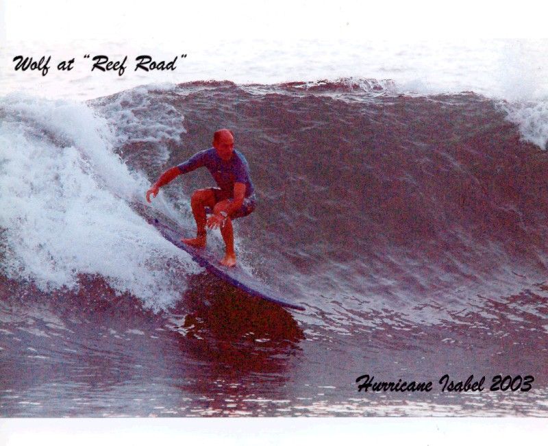 Surf's up!