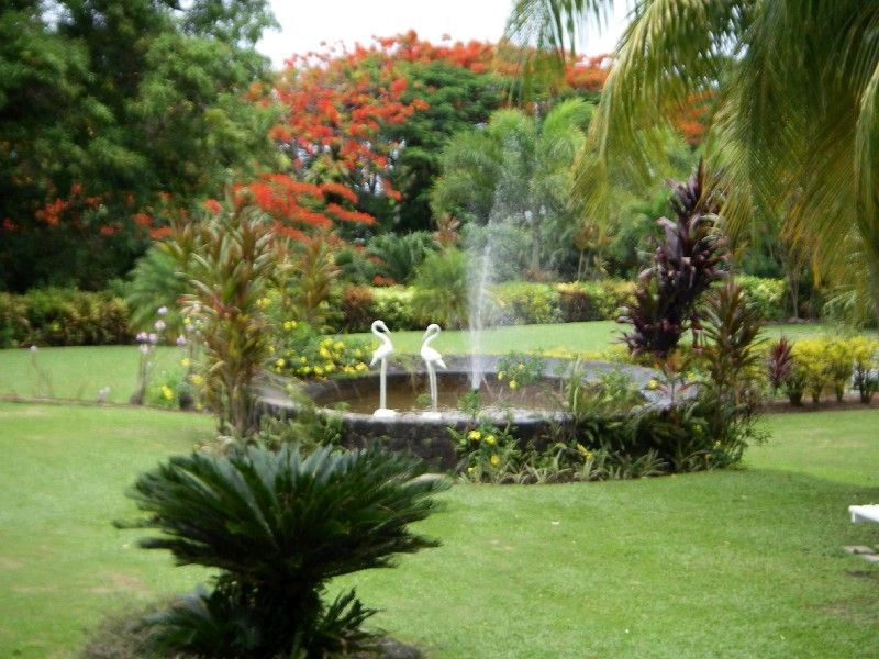 Rommey Manor Plantation