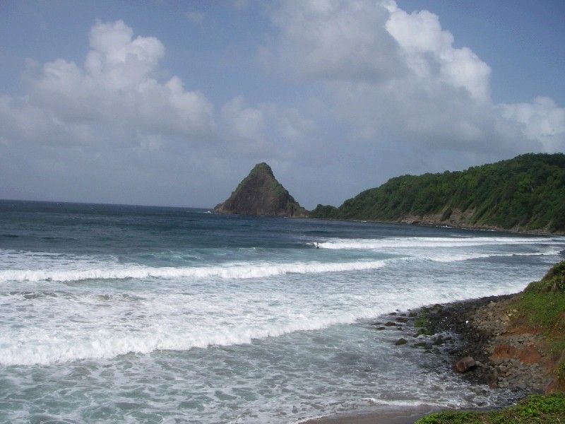 Surf's Up!