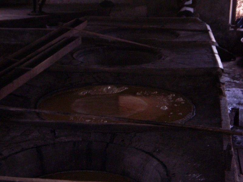 Witch's Brew!