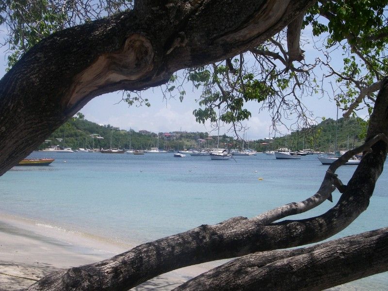 Tyrell Bay