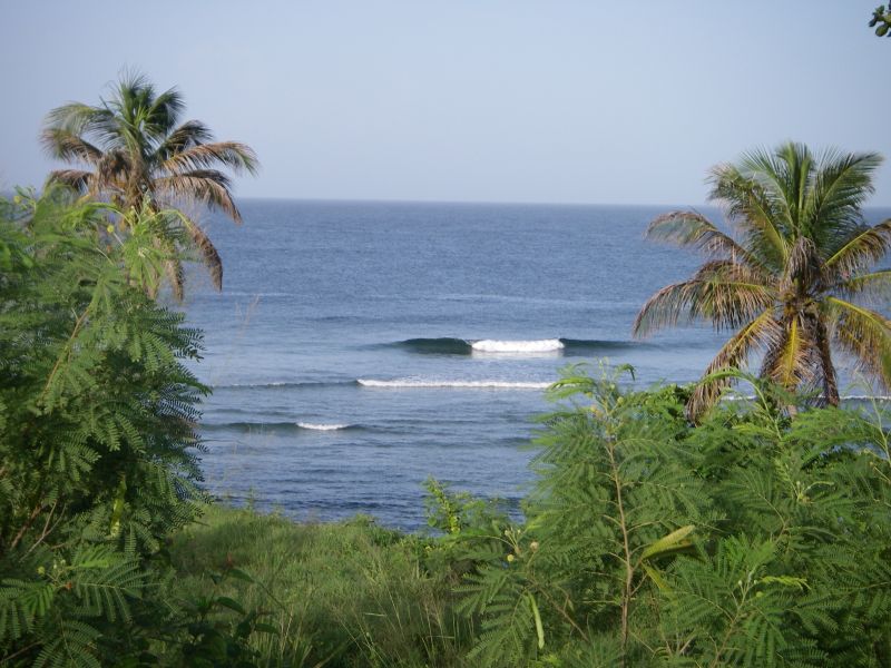 Surf's Up - Happy Birthday