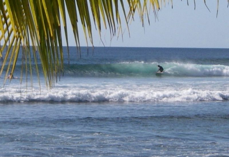 Steve Mount Irvine Surf