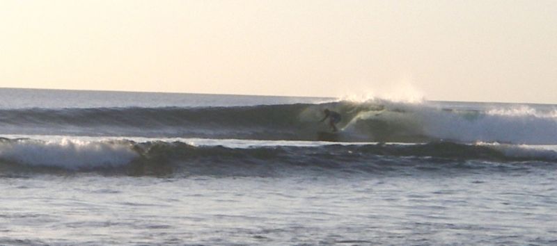 Steve - Mount Irvine Surf