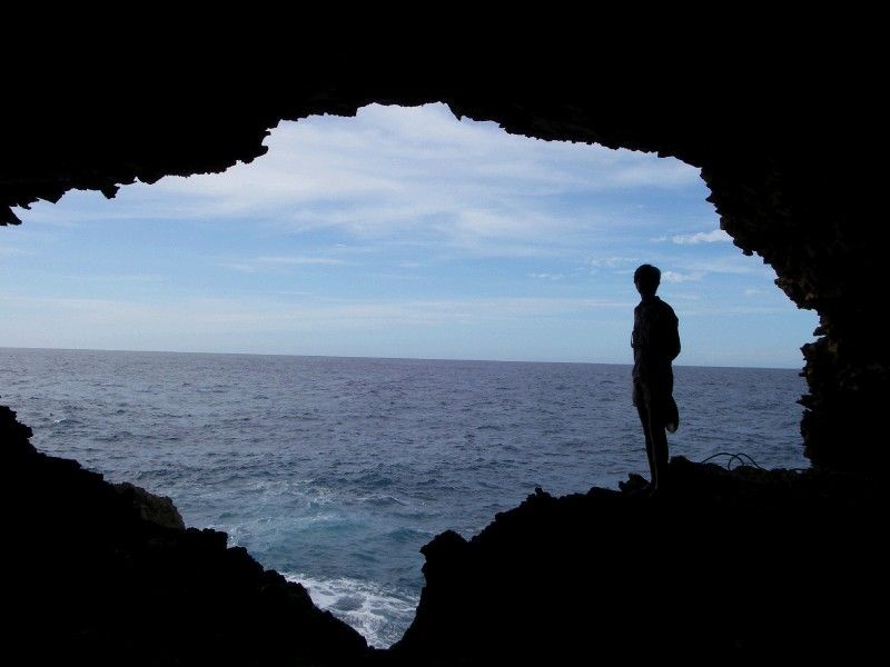 Animal Flower Cave