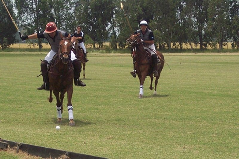 Polo