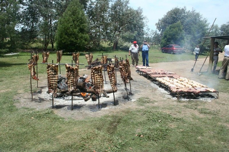 Meat and More Meat