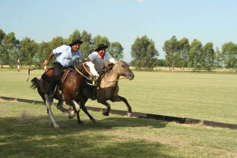 Gaucho's