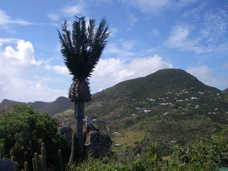 Only in St. Barths