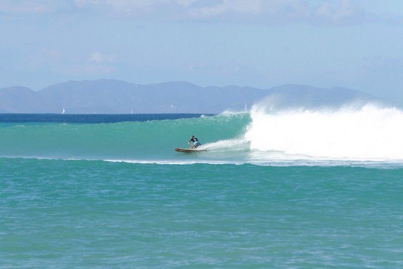 Next Swell