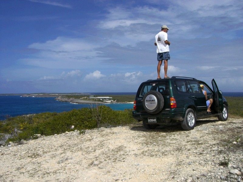 Surf Search