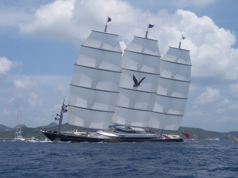 Maltese Falcon