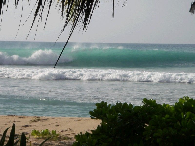 Galley Bay