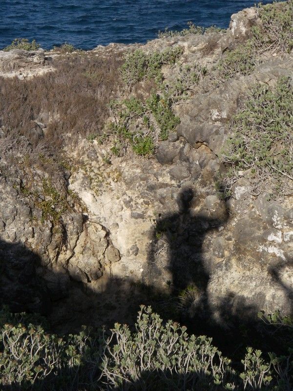 Geronimo