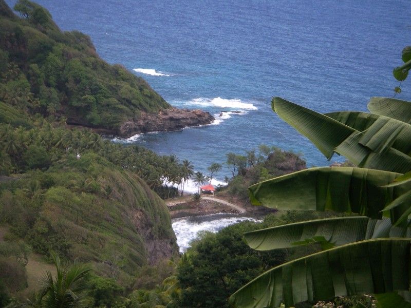 Beautiful View