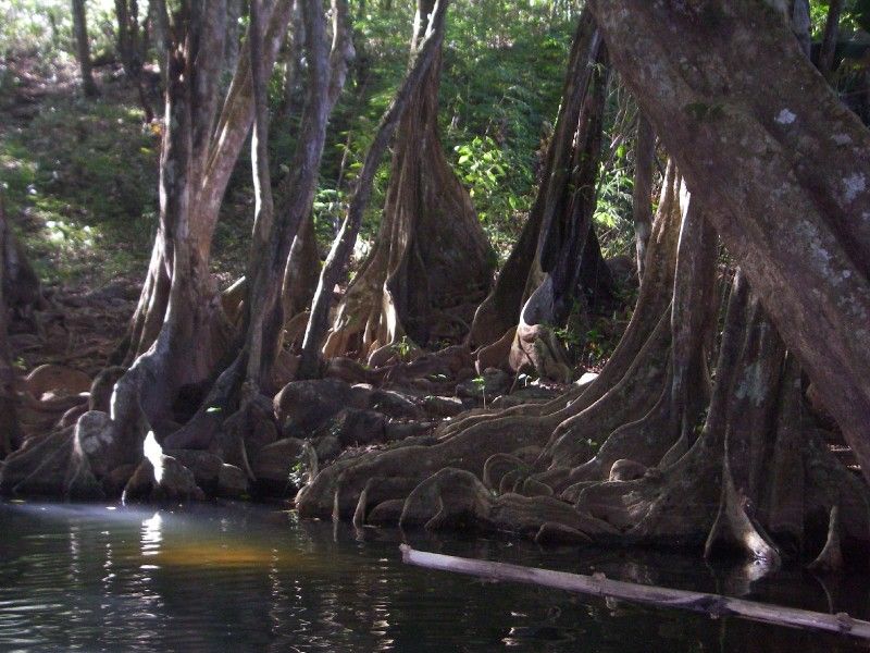 Indian River
