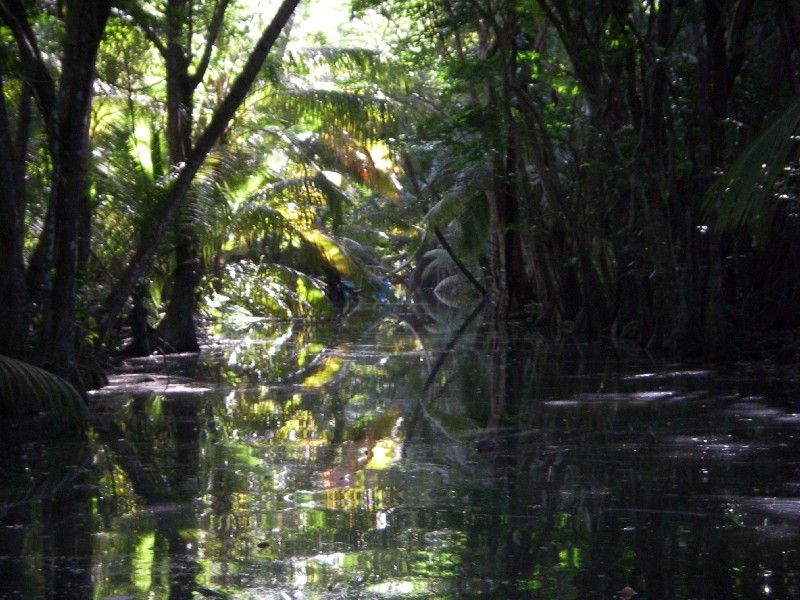 Indian River