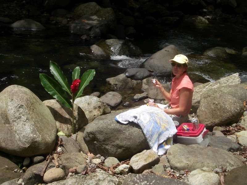 Picnic Lunch