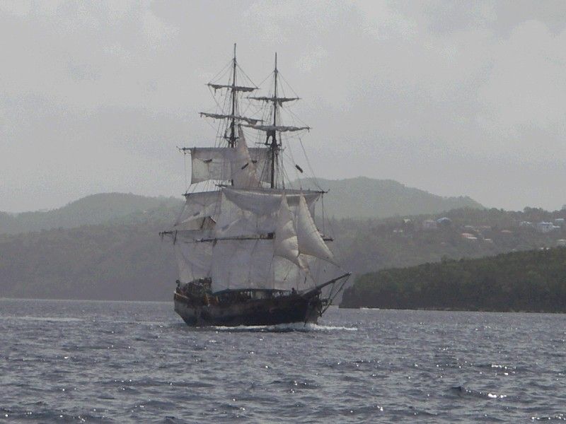 Black Pearl