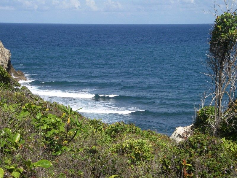 Rocky Point Surf Break