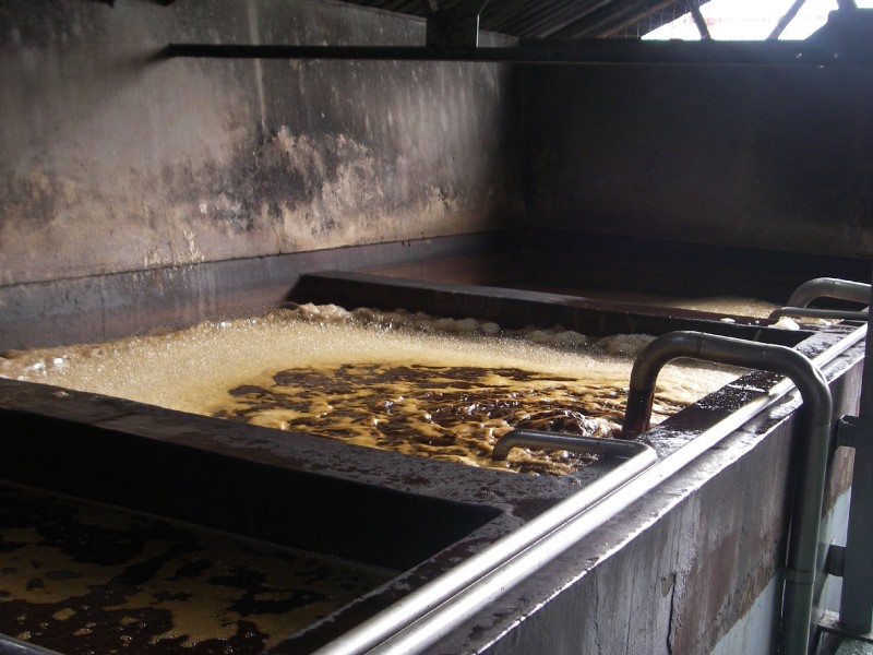 Rum Fermenting