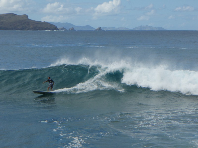 Christmas Swell