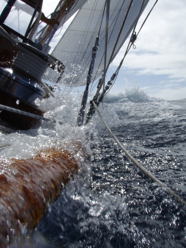 New Years Eve Day Race