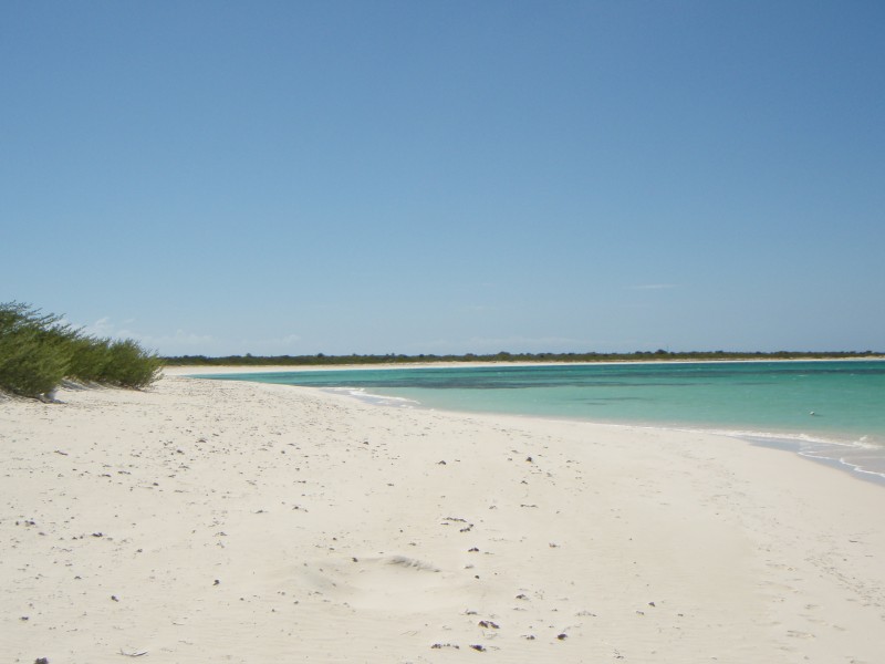 Anegada Da Vida!