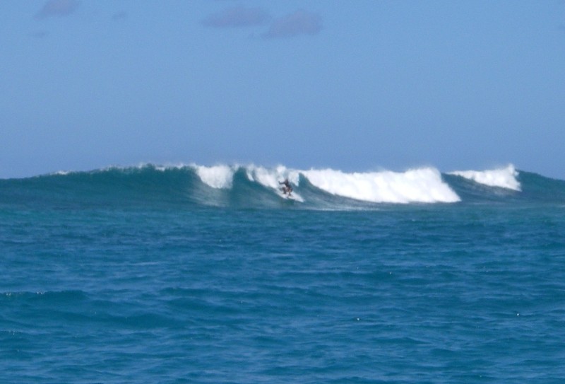 Anegada Surf Club