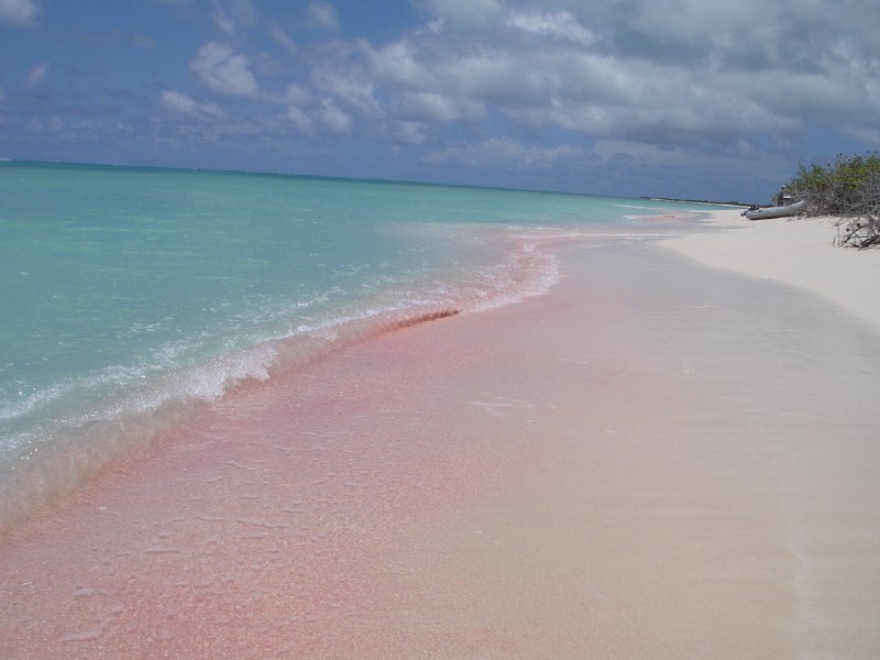 Barbuda,  Nevis and Saba - Back to Nature