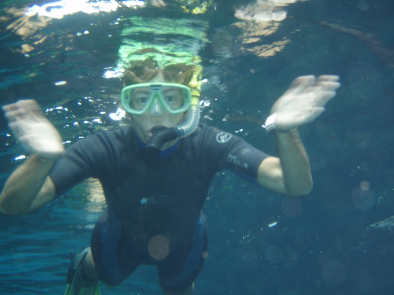 Great Snorkeling