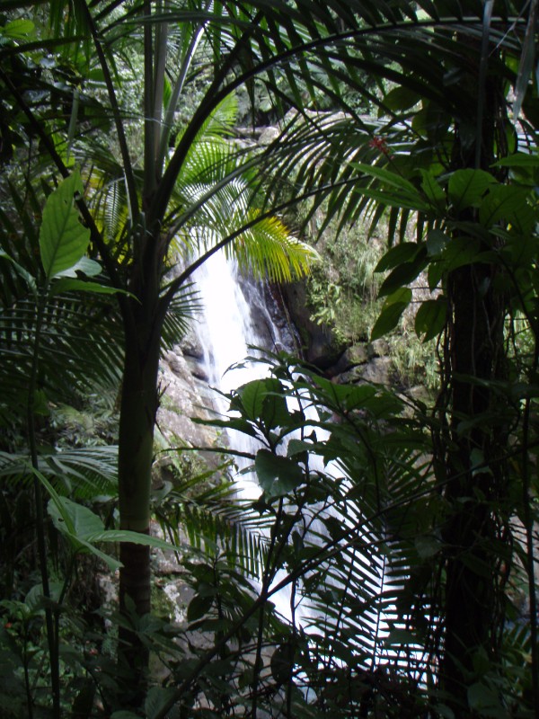 La Mina Falls