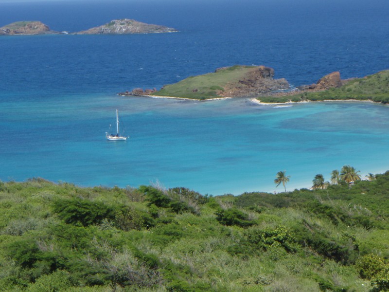 Culebrita