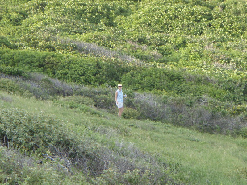 Still no @#$% Trail!