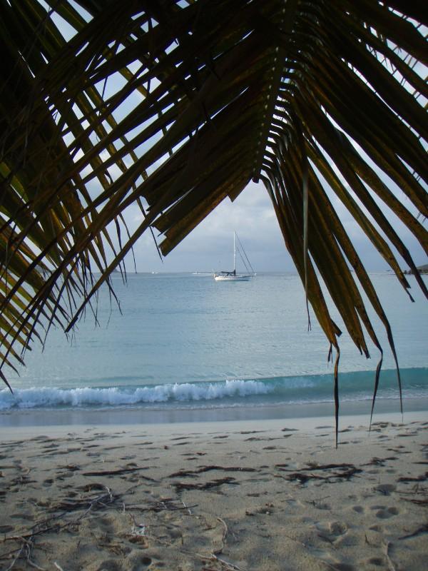 Bahia de Tortuga