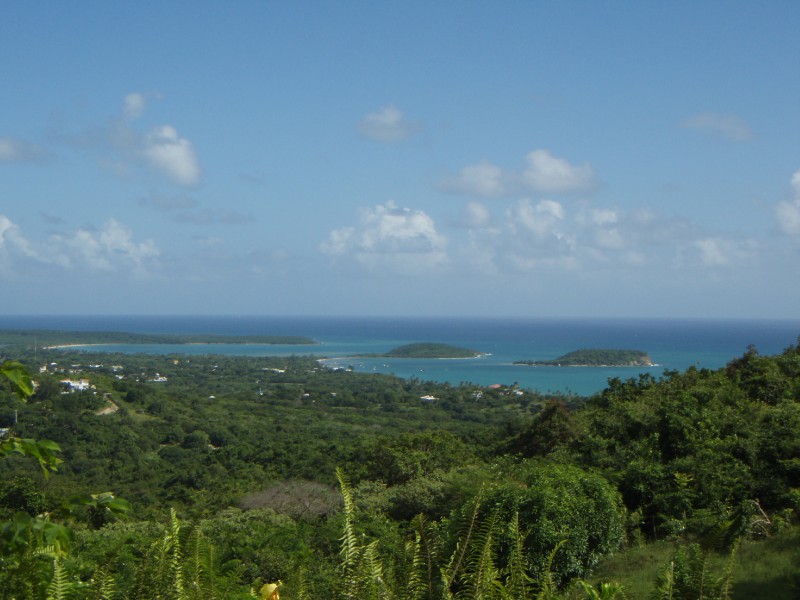 Vieques