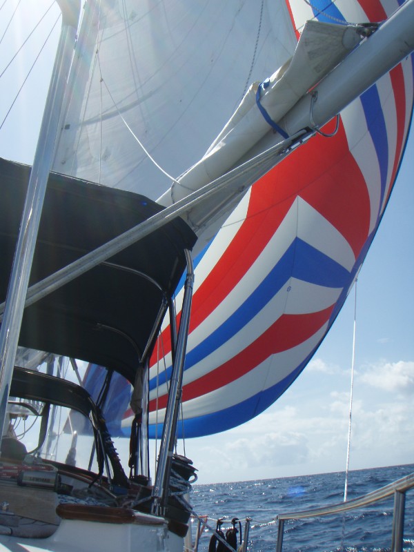 Flying the New Spinaker