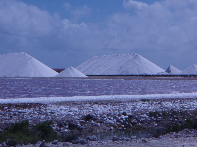 Salt Pans