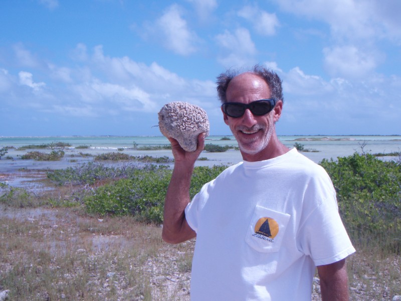 Steve's Brain!