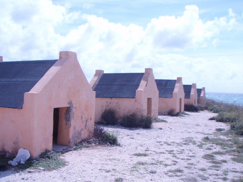 Cruel Slave Huts