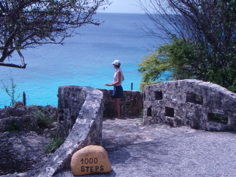 1000 Steps