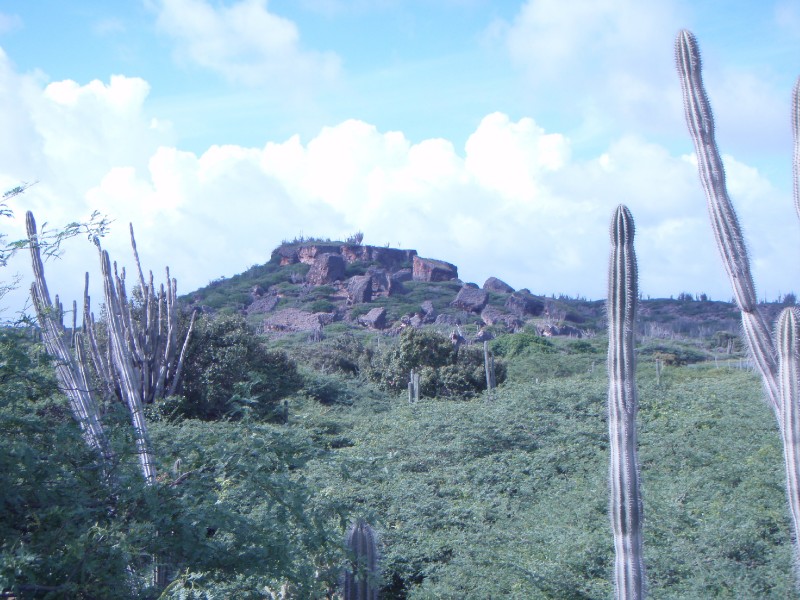 Arid Terrain