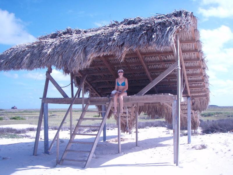 Beach Hut Shopping