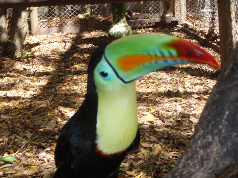 Kuna Yala - the National Geographic Tour