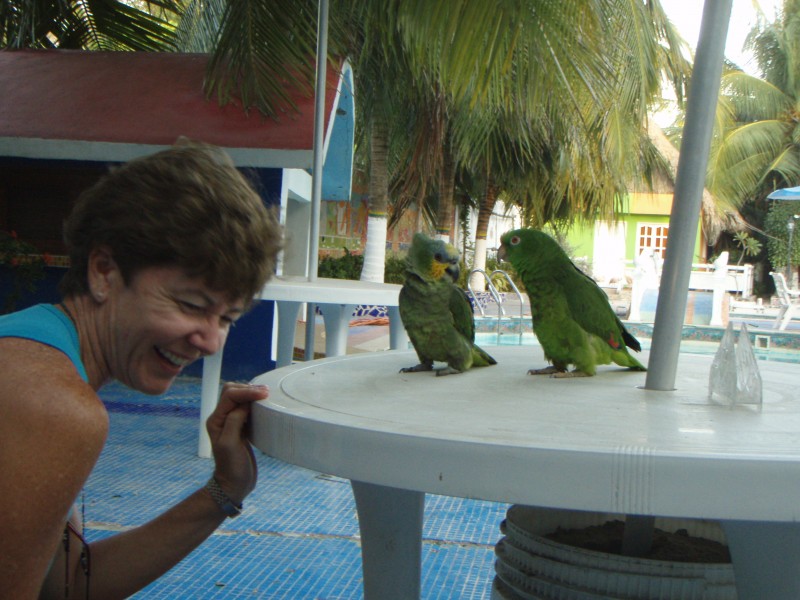 Laughter