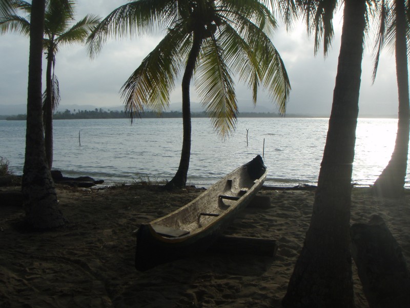 A pretty picture