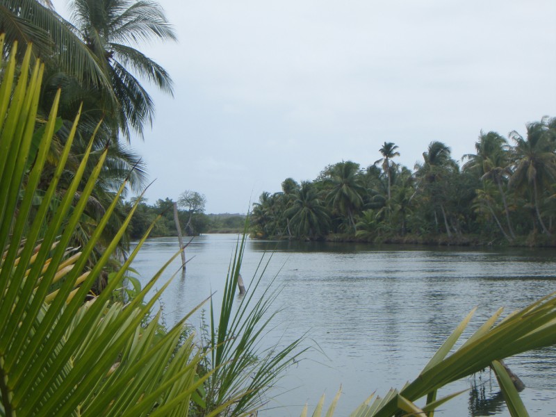 River Trip