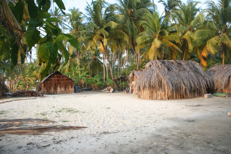 We did some island walking to see some of the traditional Kuna huts.