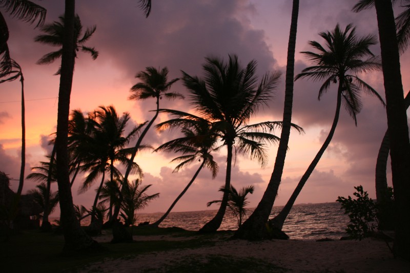 And of course caught some beautiful sunsets. Great picture Sylvie!