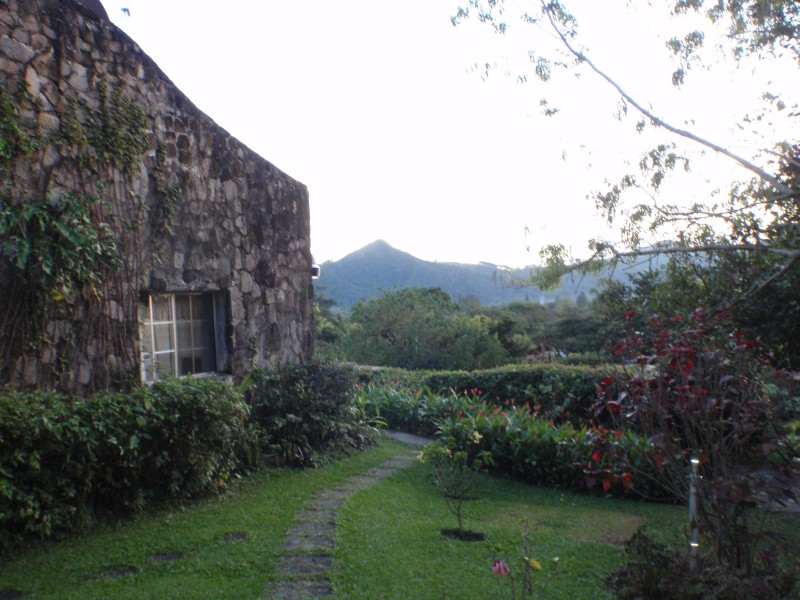 Golden Frog Inn